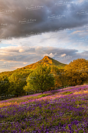 To buy a print or any of the below please click on the images